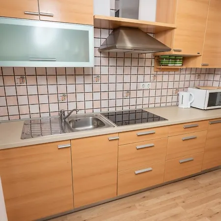Apartment Znidar *