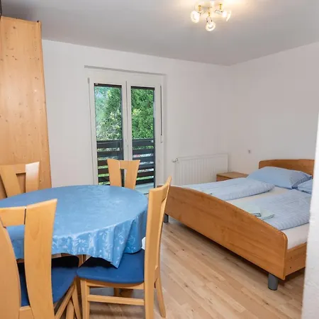 Apartment Znidar *