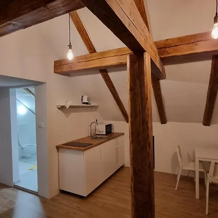 Znidar アパート ボーヒニ