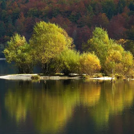 Apartment Znidar Bohinj