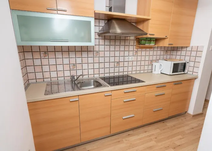 Appartement Znidar *